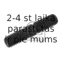 Skrūve FEBI BILSTEIN 02892