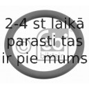 Уплотнительное кольцо, труба выхлопного газа FEBI BILSTEIN 11632