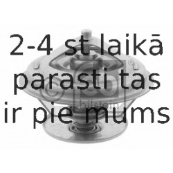 Termostats, Dzesēšanas šķidrums FEBI BILSTEIN 10528