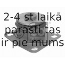 Piekare, Pārnesumkārbas turētājs FEBI BILSTEIN 10017