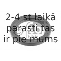 Уплотнительное кольцо, поворотного кулака FEBI BILSTEIN 02453