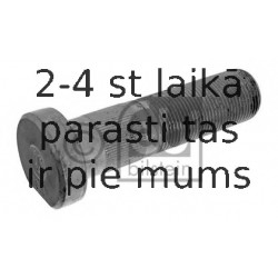 Riteņa stiprināšanas skrūve FEBI BILSTEIN 02406