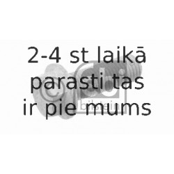 Skrūve FEBI BILSTEIN 02119