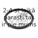 Vārpstas blīvgredzens, Riteņa rumba FEBI BILSTEIN 01898