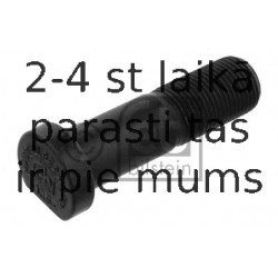 Riteņa stiprināšanas skrūve FEBI BILSTEIN 01647