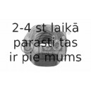 Uzgrieznis, Izplūdes kolektors FEBI BILSTEIN 01554