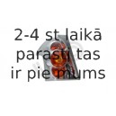 ULO 1104001