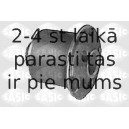 Neatkarīgās balstiekārtas svira, Riteņa piekare SASIC 5233233