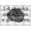 SASIC 0385185