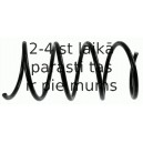 Balstiekārtas atspere SACHS 998 649