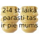 Elastīgais atbalstelements, Atsperojums SACHS 900 209