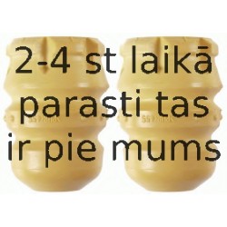 Elastīgais atbalstelements, Atsperojums SACHS 900 209