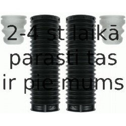 Putekļu aizsargkomplekts, Amortizators SACHS 900 207