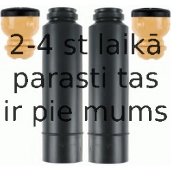 Putekļu aizsargkomplekts, Amortizators SACHS 900 206