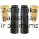 Putekļu aizsargkomplekts, Amortizators SACHS 900 205