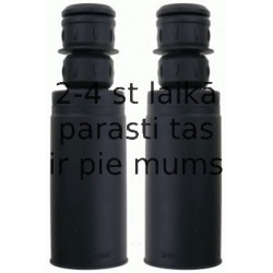 Putekļu aizsargkomplekts, Amortizators SACHS 900 094