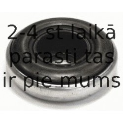 Ritgultnis, Amortizatora statnes balsts SACHS 801 004