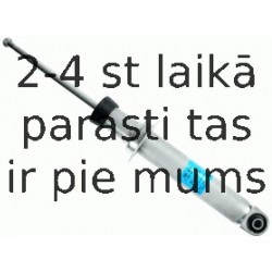 Amortizators SACHS 310 476