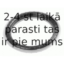 Ritgultnis, Amortizatora statnes balsts LEMFÖRDER 31397 01