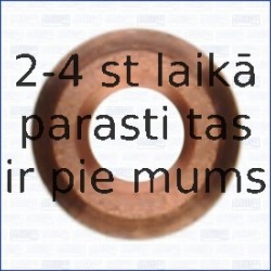 AJUSA 01176100