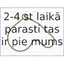 AJUSA 01046300