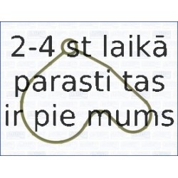 AJUSA 01046300