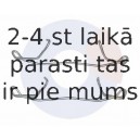 Piederumu komplekts, Disku bremžu uzlikas CARRAB BRAKE PARTS 2173