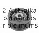 Parazīt-/Vadrullītis, Ķīļrievu siksna SWAG 60 92 6451