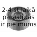 Parazīt-/Vadrullītis, Zobsiksna SWAG 40 92 4503