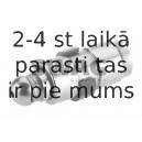 Bīdītājs SWAG 62 91 8672