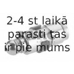 Bīdītājs SWAG 62 91 8672