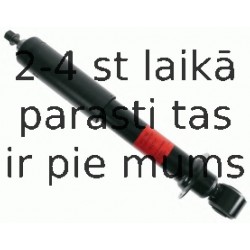 Amortizators SACHS 311 753