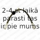 Тормозной шланг DELPHI LH6241