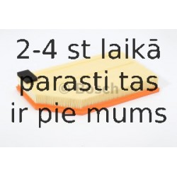 Gaisa filtrs BOSCH F 026 400 181