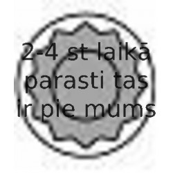 Cilindru galvas skrūvju komplekts AMC 258506