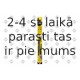 Stikla tīrītāja slotiņa SWF 116346