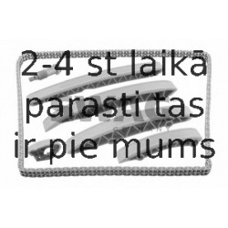 Sadales vārpstas piedziņas ķēdes komplekts SWAG 99 13 0319