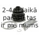 SPIDAN 26120