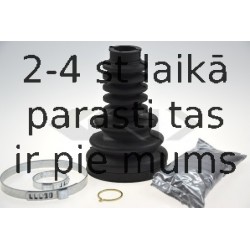 SPIDAN 26119