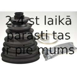 SPIDAN 25984