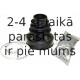 Putekļusargu komplekts, Piedziņas vārpsta SPIDAN 24991
