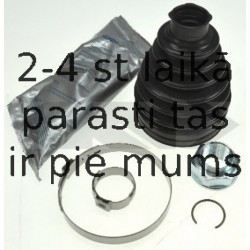 SPIDAN 24896
