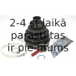 SPIDAN 24885