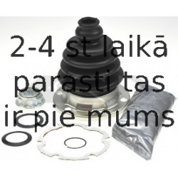 SPIDAN 24658
