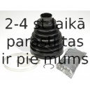 SPIDAN 24615