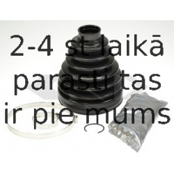 SPIDAN 24615