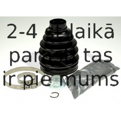 SPIDAN 24562