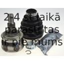SPIDAN 24556