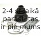 SPIDAN 24552
