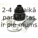 SPIDAN 24552